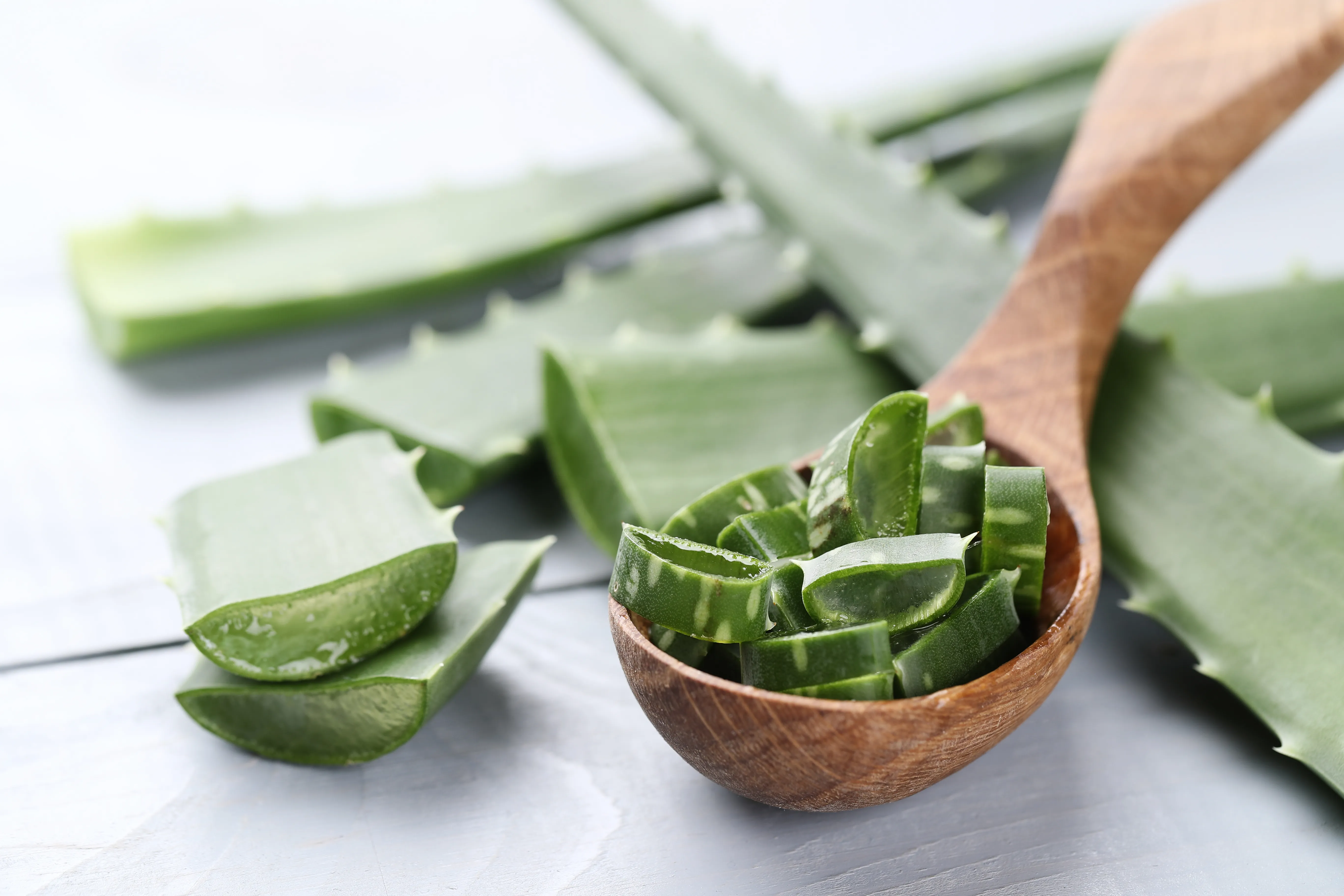 aloe-vera-hair-treatment